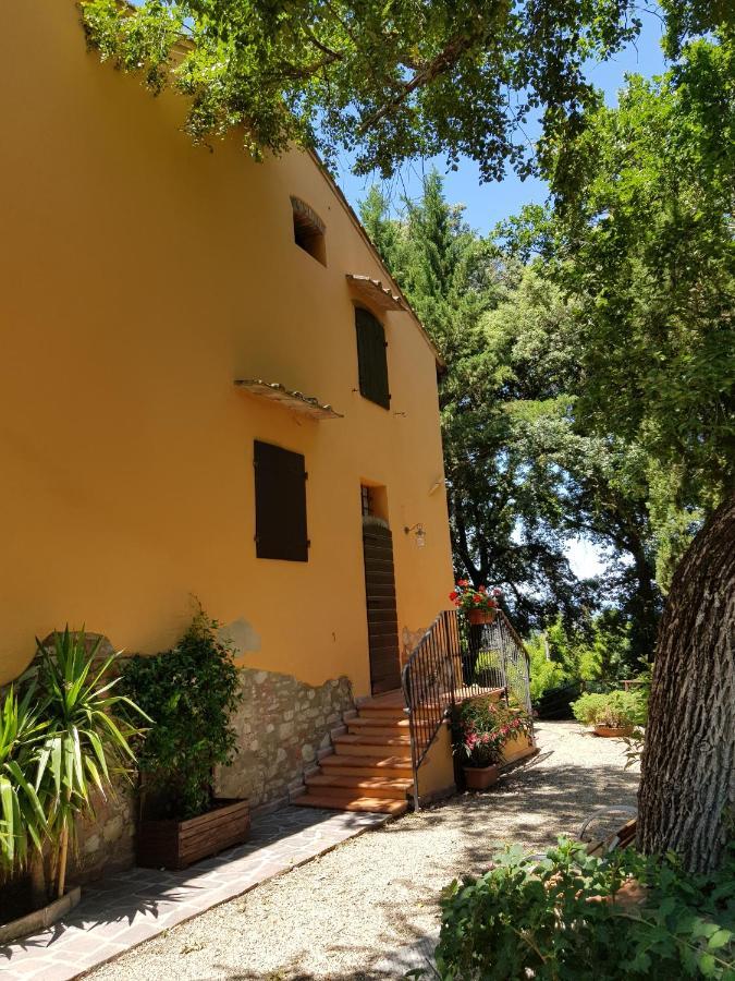 Il Leccio - Casa Toscana Il Fienile 甘巴西 外观 照片