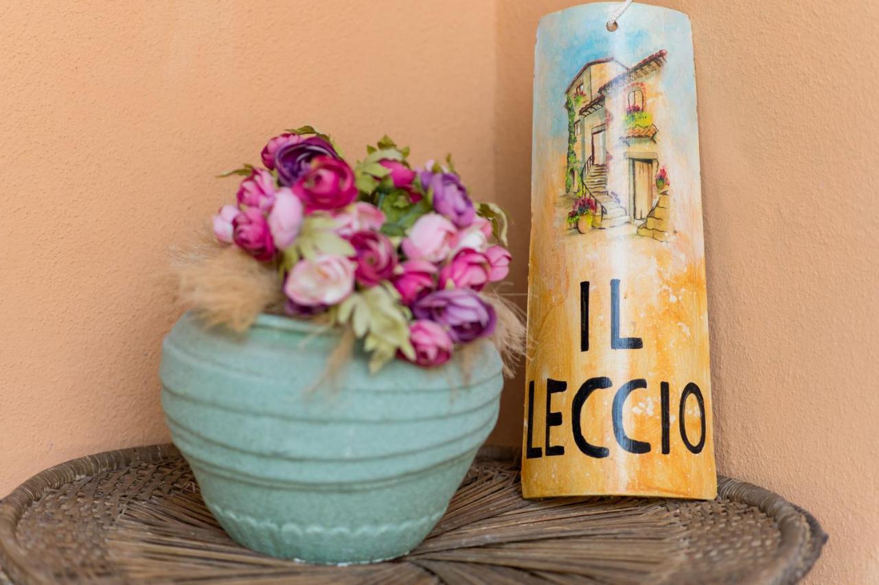 Il Leccio - Casa Toscana Il Fienile 甘巴西 外观 照片